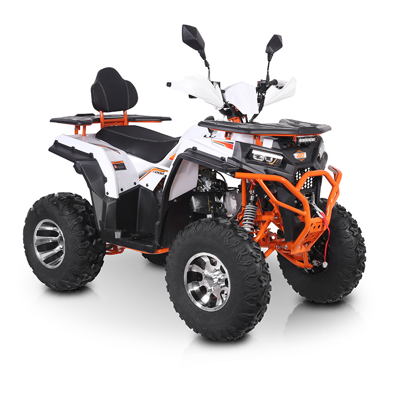 沙滩车300cc